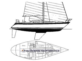 OYSTER MARINE OYSTER 37