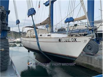 FRANCHINI ADRIATICO 37