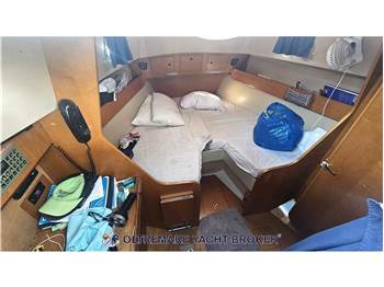 ALPA ALPA 38