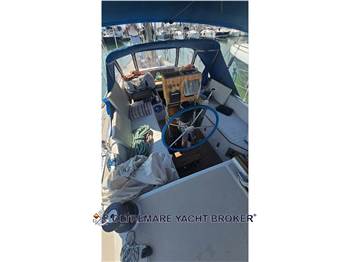 ALPA ALPA 38