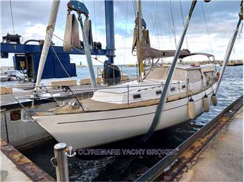 FRANCHINI ADRIATICO 37