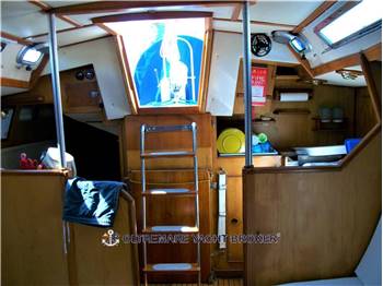 OYSTER MARINE OYSTER 37