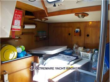OYSTER MARINE OYSTER 37