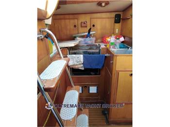 OYSTER MARINE OYSTER 37