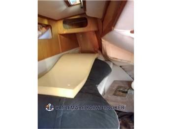 OYSTER MARINE OYSTER 37