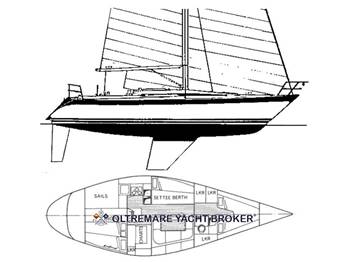OYSTER MARINE OYSTER 37