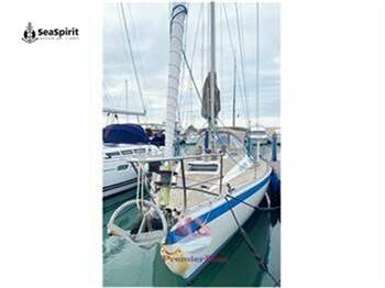 Wauquiez CENTURION 42
