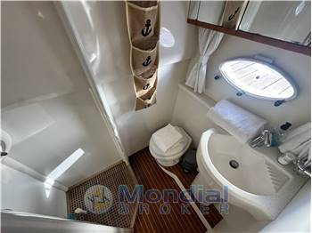 Princess V50