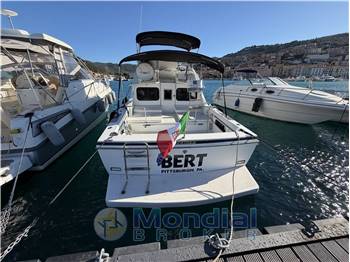Bertram 28 fly