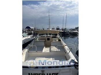 Bertram 28 Moppie