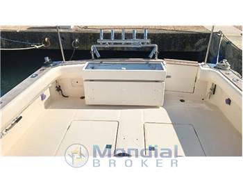 Cayman 30 Walk Around