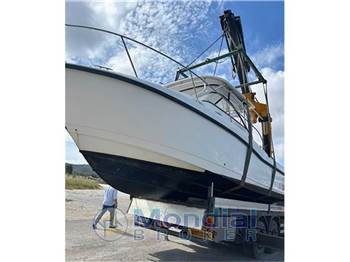 Boston Whaler 305