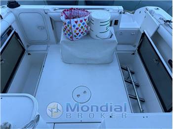 Wellcraft Marine Wellcraft 270 Coastal