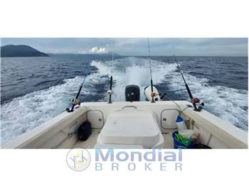 BAYLINER TROPHY PRO 20.52