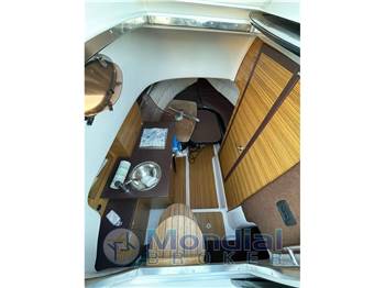 Ranieri Ranieri 30 Shadow WA