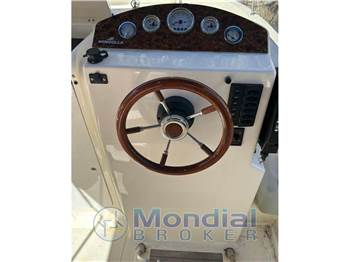 Mingolla BRAVA 22 WA