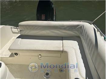 Mingolla BRAVA 22 WA