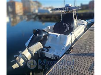 BOSTON WHALER 240 outrage