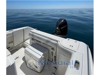 BOSTON WHALER 240 outrage