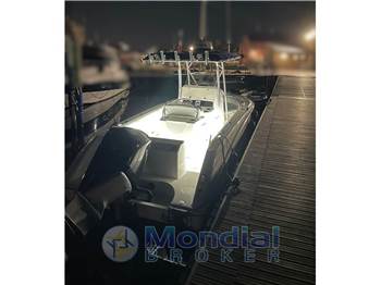 BOSTON WHALER 240 outrage