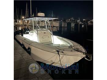 BOSTON WHALER 240 outrage