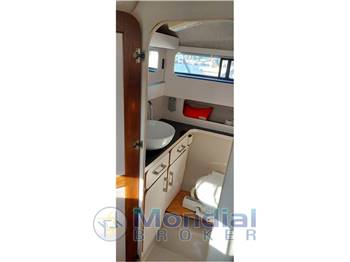 Regal Marine Valanti 260