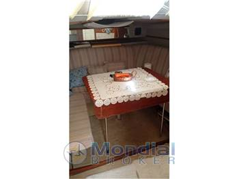 Rio 830 Cabin