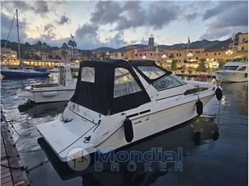 Sea Ray Boats Sundancer 290
