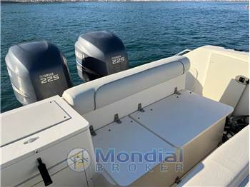 Pursuit 2670 Denali