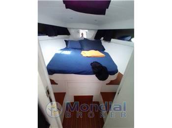 Abbate primatist primatist 39