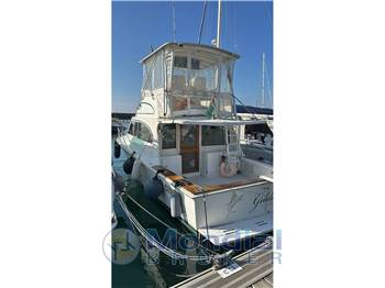 EGG HARBOR 35 GOLDEN EGG