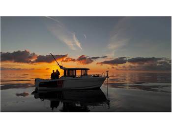 JEANNEAU MERRY FISHER 795 SPORT SERIE 2