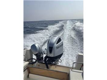 Petteruti PETTERUTTI 21 OPEN