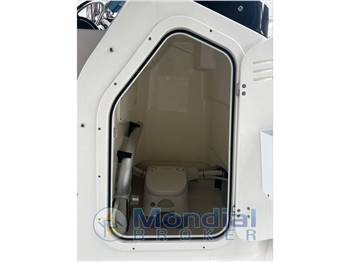 BOSTON WHALER MONTAUK  21