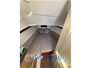 Salpa Salpa soleil 33