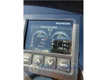 Salpa Salpa soleil 33