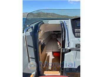 Salpa Salpa soleil 33