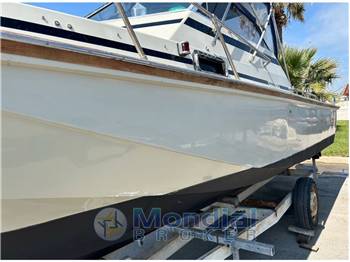 Boston whaler Revenge 22