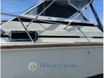 Boston whaler Revenge 22