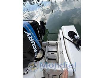 White shark 265