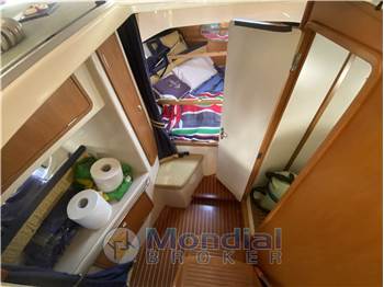 Polyform S.n.c. Triakis C 30