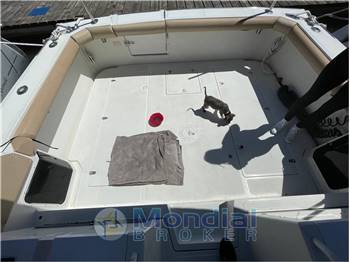 BOSTON WHALER 31 L