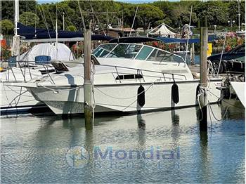 BOSTON WHALER 31 L