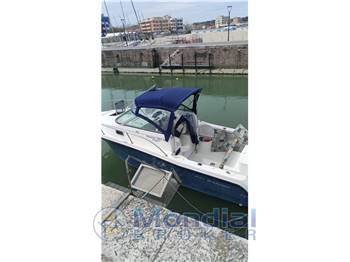 KARNIC 2460