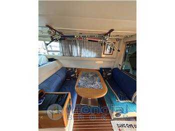 MOCHI DOMINATOR 34 FLY