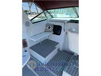 Cruiser 30 Rogue