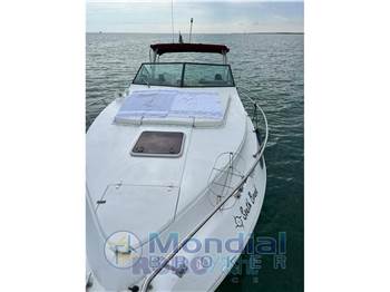 Cruiser 30 Rogue