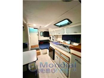 Cruiser 30 Rogue