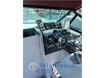 Cruiser 30 Rogue