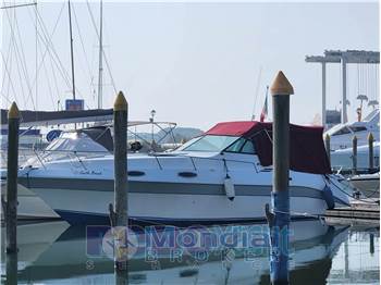 Cruiser 30 Rogue